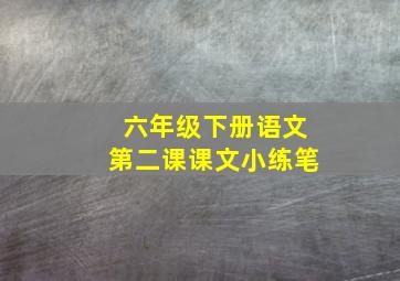 六年级下册语文第二课课文小练笔