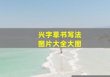 兴字草书写法图片大全大图