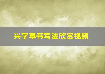 兴字草书写法欣赏视频