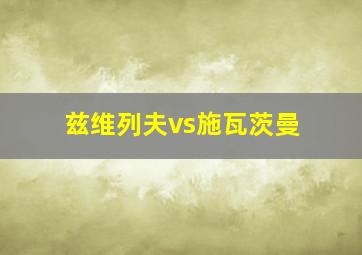 兹维列夫vs施瓦茨曼