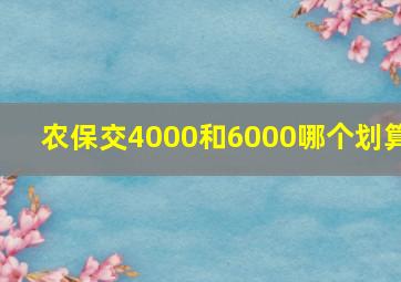 农保交4000和6000哪个划算