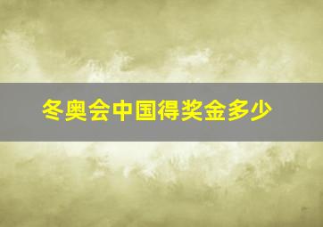 冬奥会中国得奖金多少