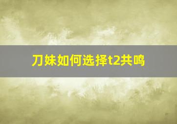 刀妹如何选择t2共鸣