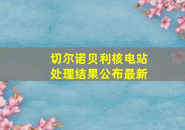 切尔诺贝利核电站处理结果公布最新