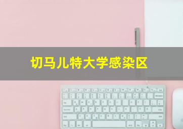 切马儿特大学感染区