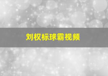 刘权标球霸视频