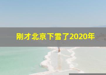 刚才北京下雪了2020年