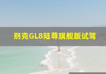 别克GL8陆尊旗舰版试驾