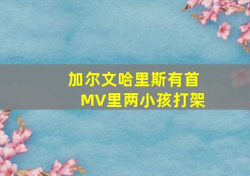 加尔文哈里斯有首MV里两小孩打架