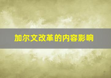 加尔文改革的内容影响