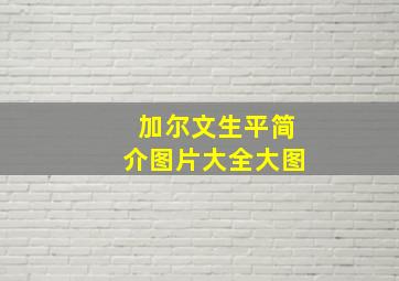 加尔文生平简介图片大全大图