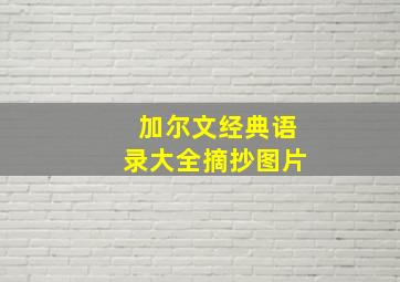 加尔文经典语录大全摘抄图片