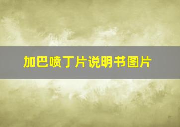 加巴喷丁片说明书图片