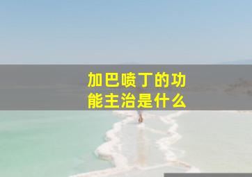 加巴喷丁的功能主治是什么