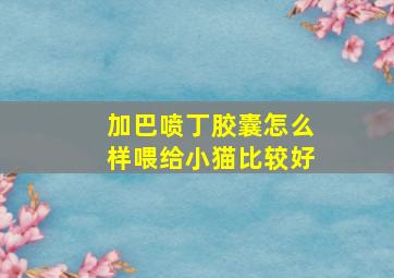 加巴喷丁胶囊怎么样喂给小猫比较好