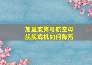 加里波第号航空母舰舰载机如何降落