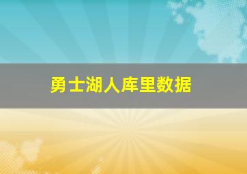 勇士湖人库里数据