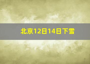 北京12日14日下雪