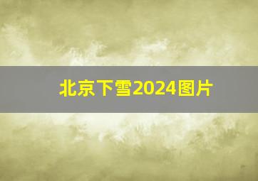 北京下雪2024图片