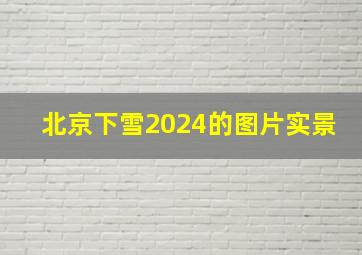 北京下雪2024的图片实景