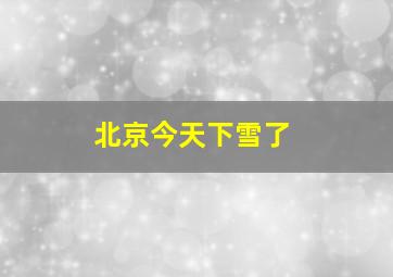 北京今天下雪了