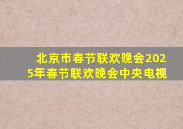 北京市春节联欢晚会2025年春节联欢晚会中央电视