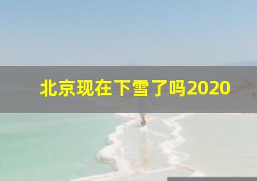 北京现在下雪了吗2020