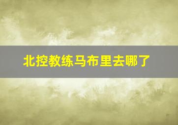 北控教练马布里去哪了