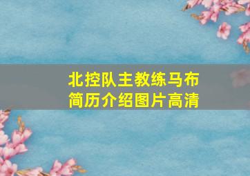 北控队主教练马布简历介绍图片高清