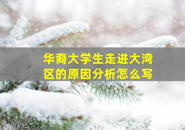 华裔大学生走进大湾区的原因分析怎么写