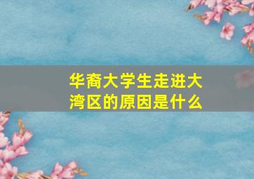 华裔大学生走进大湾区的原因是什么