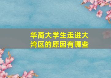 华裔大学生走进大湾区的原因有哪些