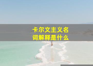 卡尔文主义名词解释是什么