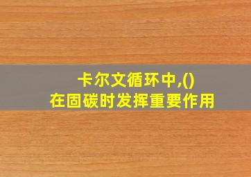 卡尔文循环中,()在固碳时发挥重要作用