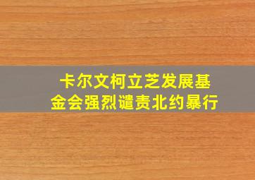 卡尔文柯立芝发展基金会强烈谴责北约暴行