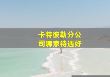 卡特彼勒分公司哪家待遇好