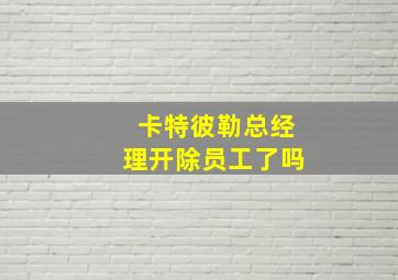 卡特彼勒总经理开除员工了吗