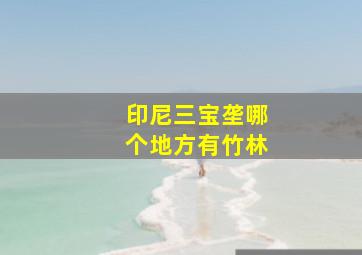 印尼三宝垄哪个地方有竹林