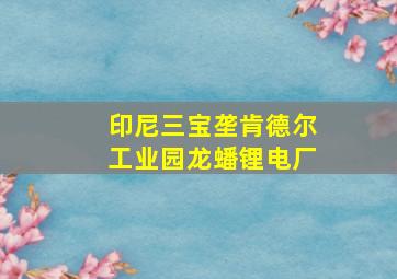 印尼三宝垄肯德尔工业园龙蟠锂电厂