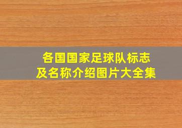 各国国家足球队标志及名称介绍图片大全集