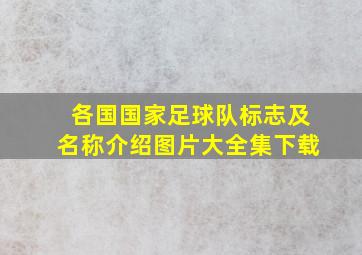 各国国家足球队标志及名称介绍图片大全集下载