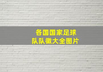 各国国家足球队队徽大全图片