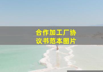 合作加工厂协议书范本图片