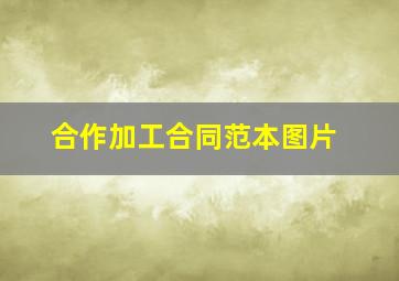 合作加工合同范本图片