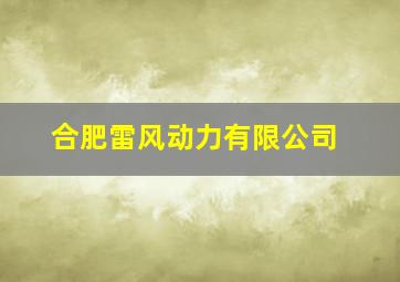 合肥雷风动力有限公司