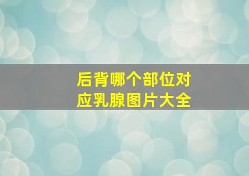 后背哪个部位对应乳腺图片大全