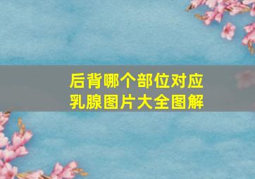 后背哪个部位对应乳腺图片大全图解