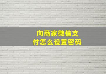 向商家微信支付怎么设置密码