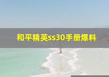 和平精英ss30手册爆料