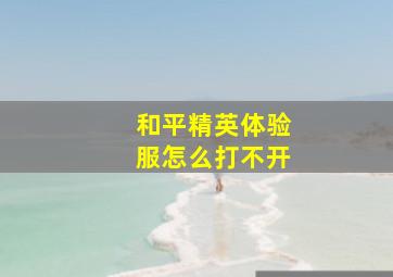 和平精英体验服怎么打不开